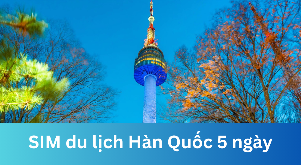 Mua SIM du lịch Hàn Quốc 5 ngày giá tốt, có Internet ngay khi vừa hạ cánh 9 SIM du lịch Hàn Quốc 5 ngày