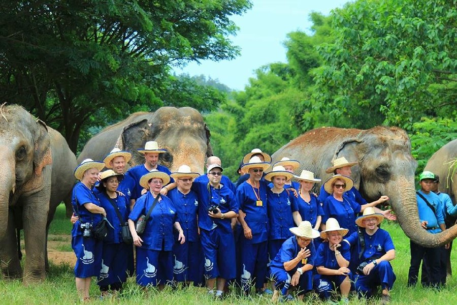 Khu du lịch Baan Chang Chiang Mai: Check-in với voi siêu độc đáo 4 Khu du lịch Baan Chang Chiang Mai