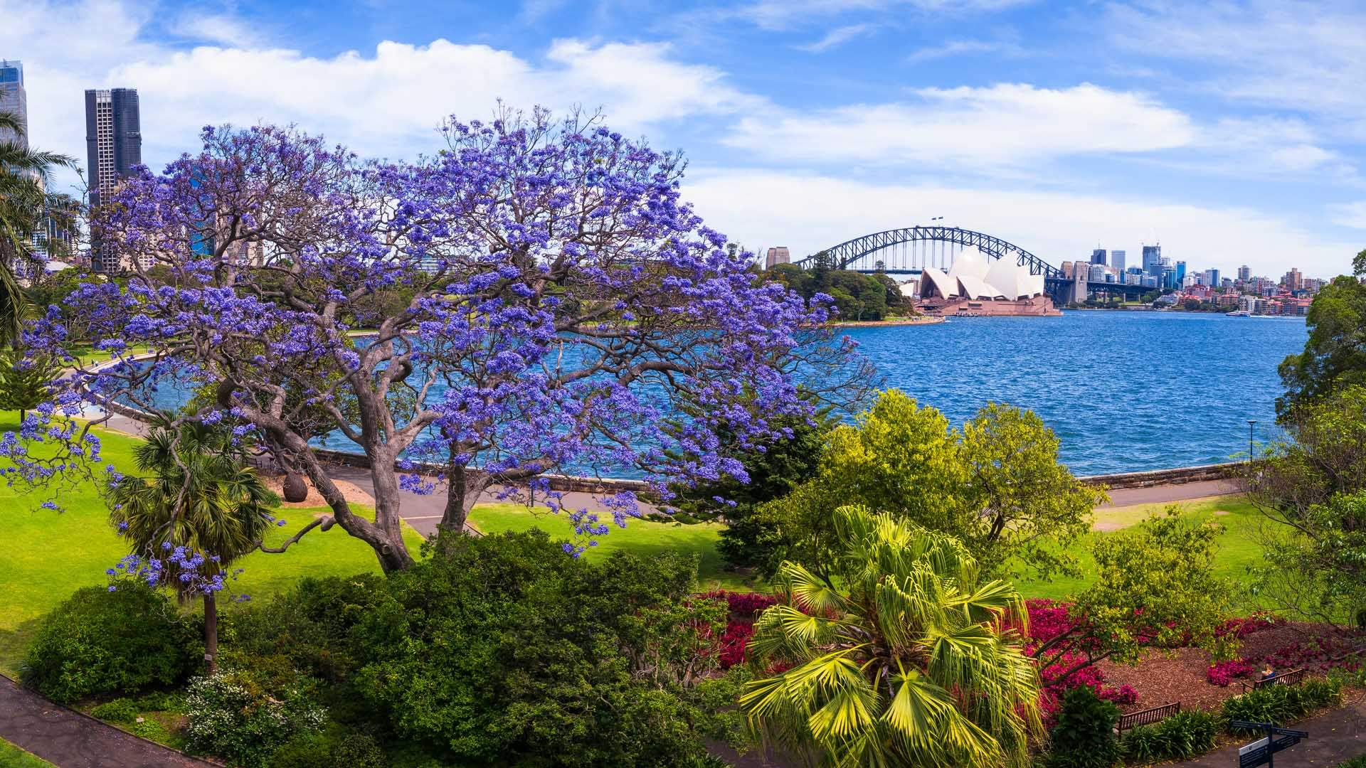 Mùa xuân Melbourne